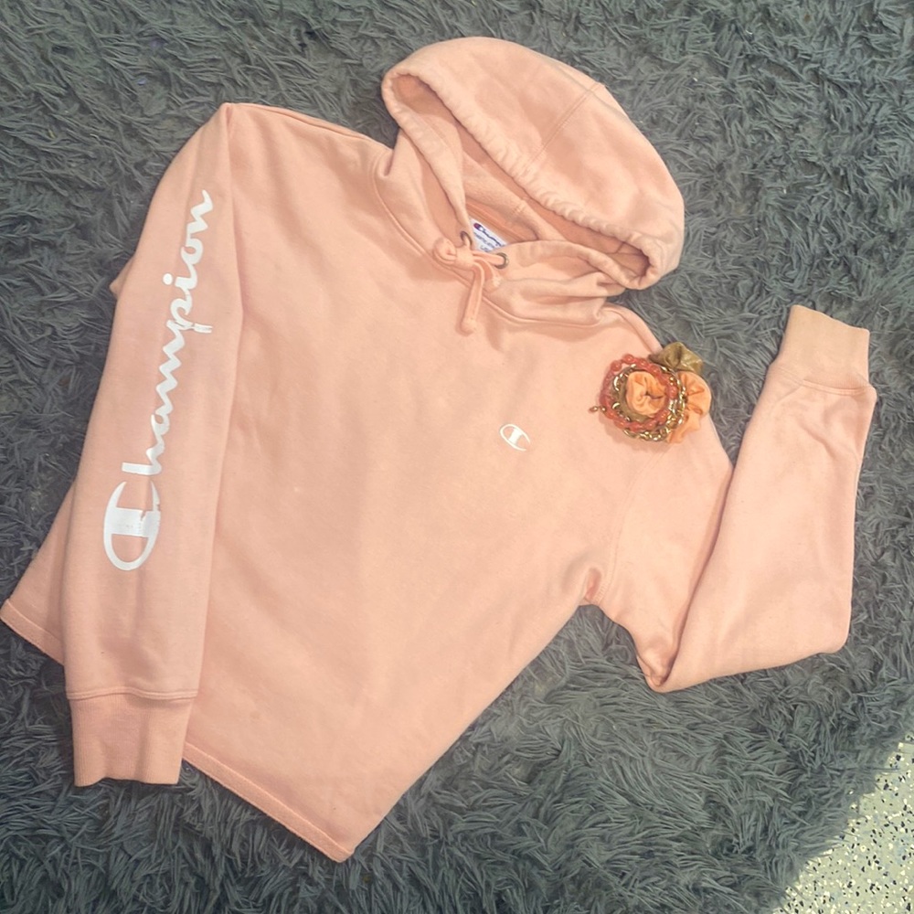 3/$50 🌸 Champion Cropped Hoodie